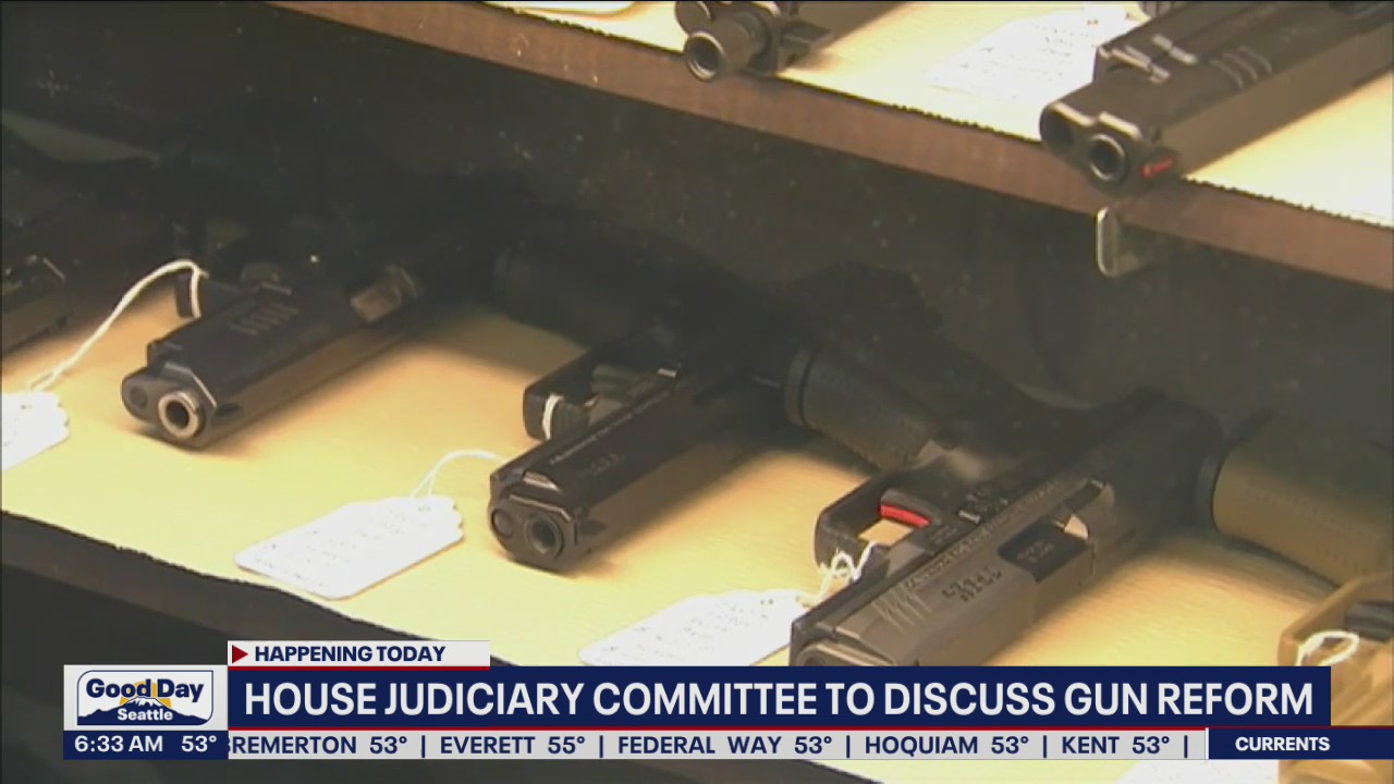 House Judiciary Committee to discuss gun reform