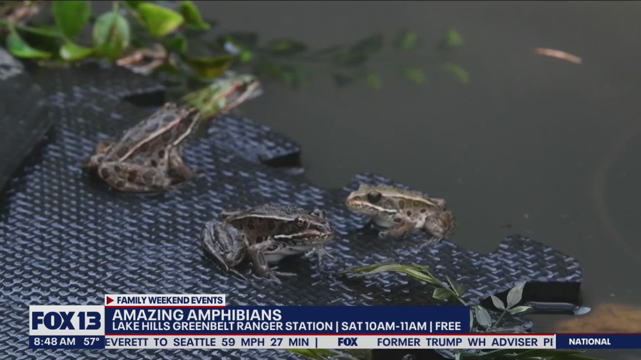 Fun events happening in the Seattle area for the weekend of June 4, 2022