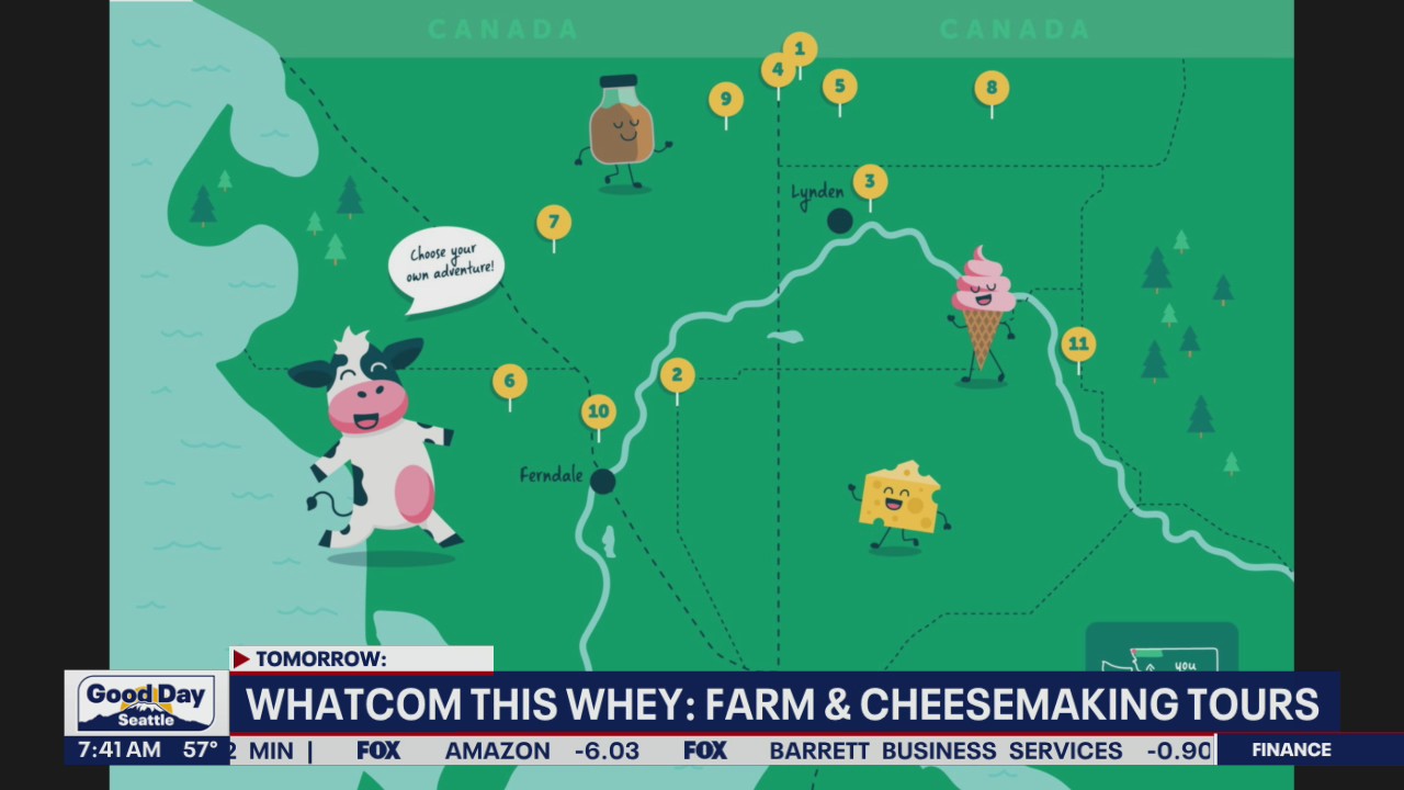 Whatcom this Whey: Farm and Cheesemaking tours