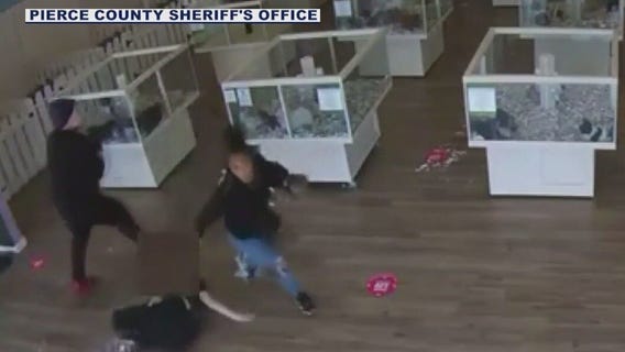 Puppies kidnapped from pet store in Washington