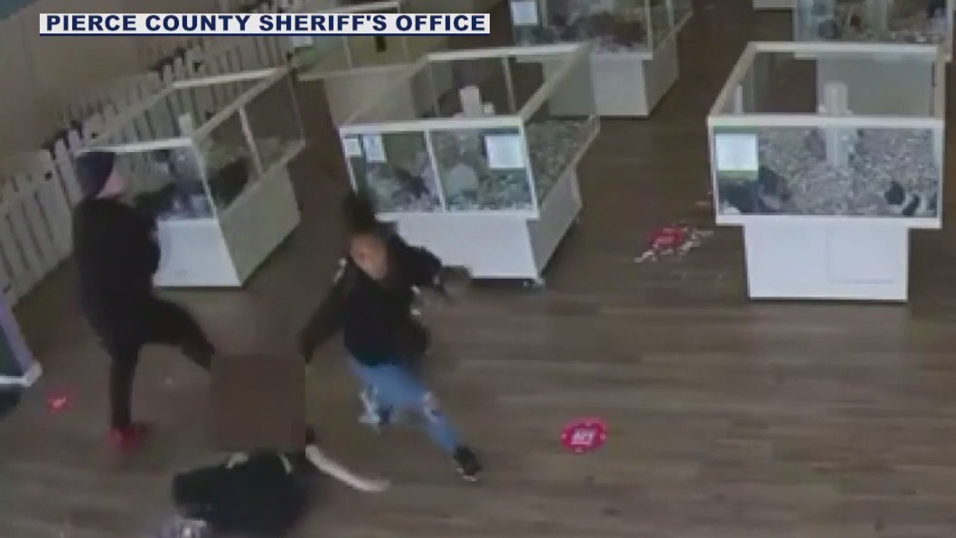 Puppies kidnapped from pet store in Washington