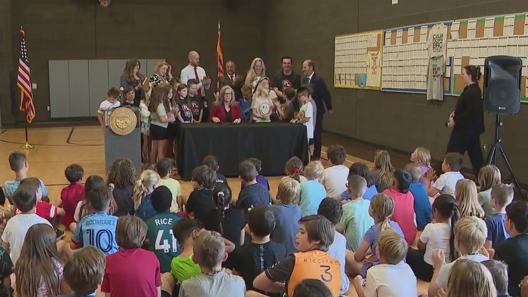 Diabetes medication Glucagon now available to schools