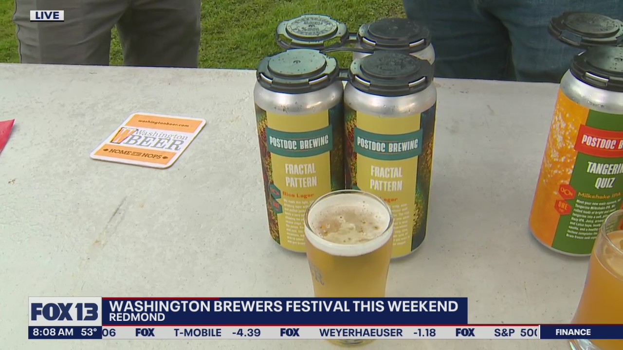 Previewing the Washington Brewers Festival
