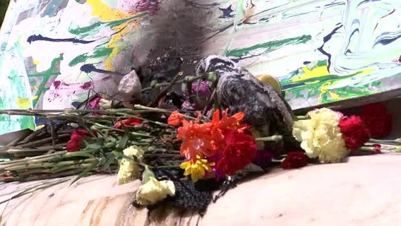 Nabra Hassanen's memorial set on fire in Dupont Circle