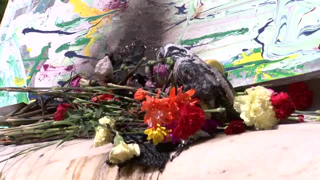 Nabra Hassanen's memorial set on fire in Dupont Circle
