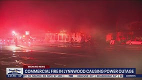 Several businesses burn in overnight fire in Lynnwood