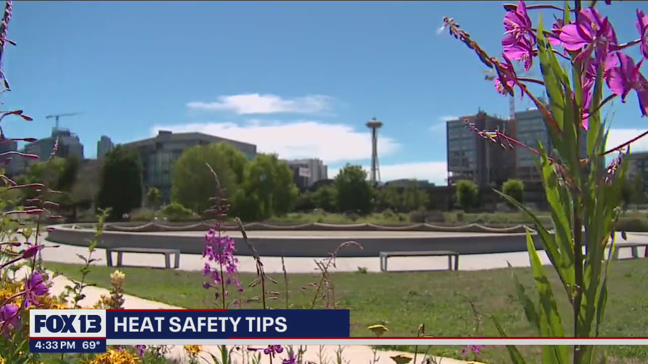 Heat safety tips for summer