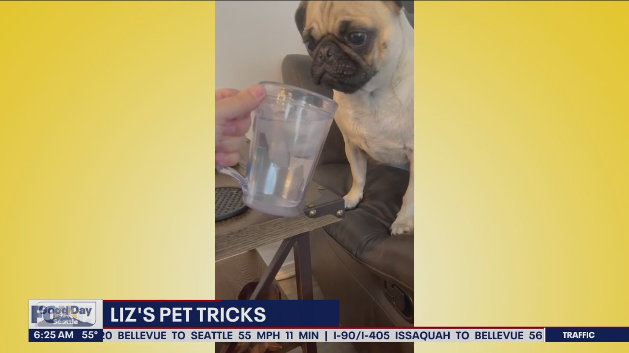 Liz's Pet Tricks for Thursday, June 30