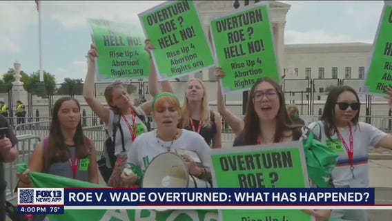 Roe v. Wade overturned: Reactions from doctors, local representatives, protesters