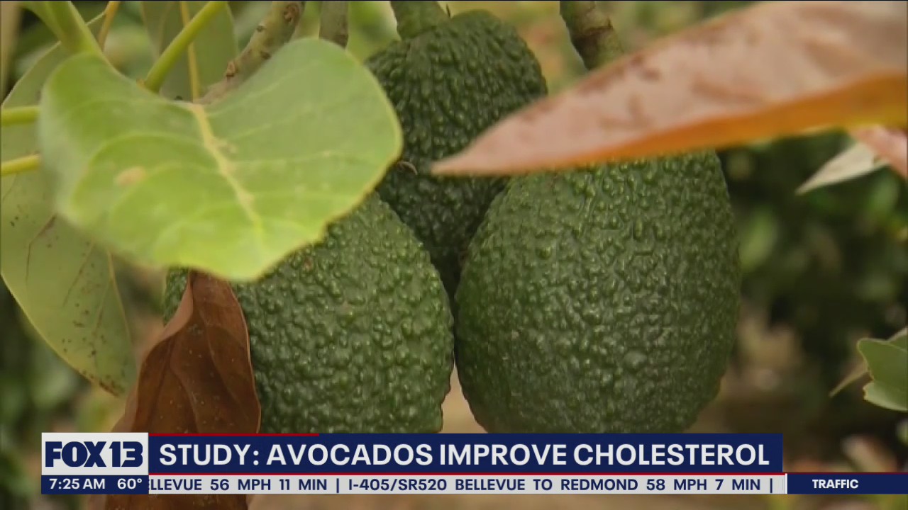Study: Avocados improve cholesterol