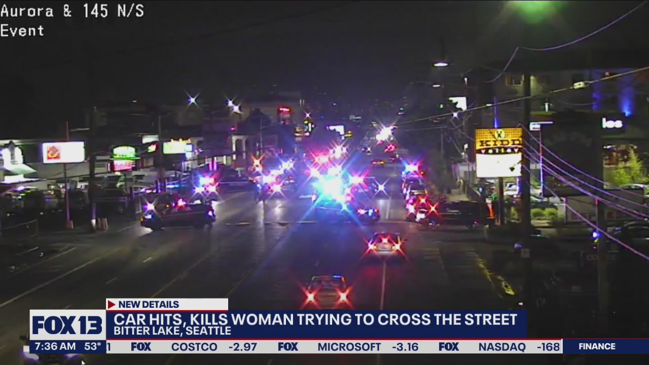 Car hits, kills woman trying to cross the street