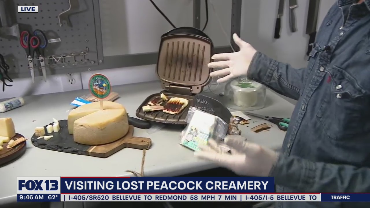 Cheese testing at Lost Peacock Creamery in Olympia