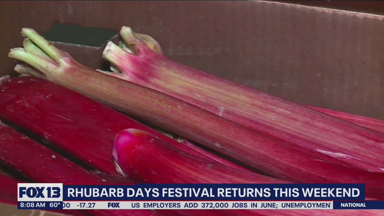 Rhubarb Days Festival returns this weekend in Sumner