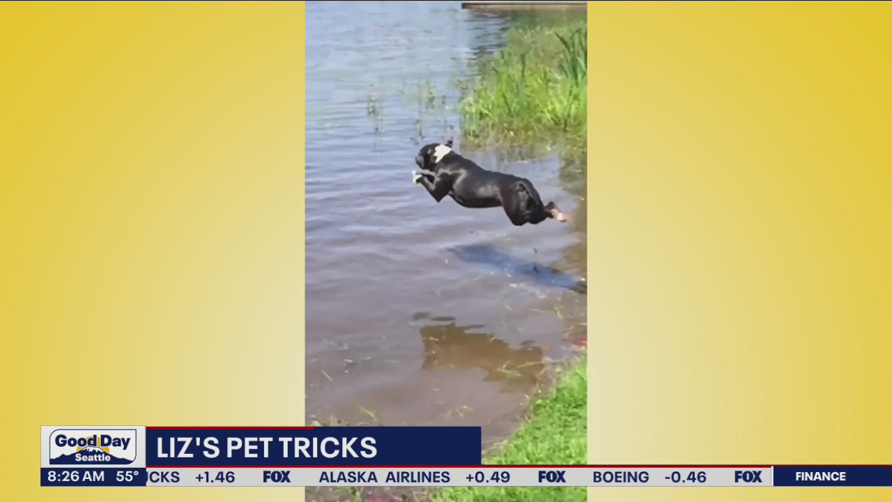Liz's Pet Tricks for Friday, July 15