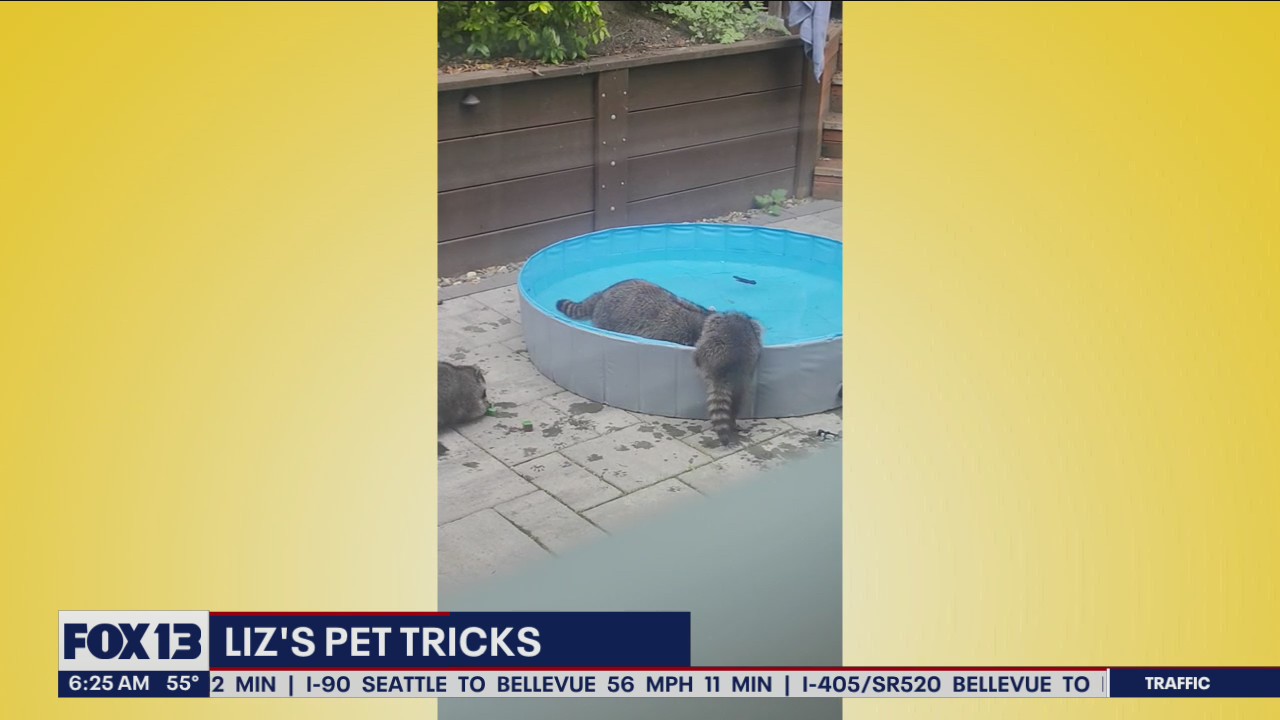Liz's Pet Tricks for Tuesday, July 19