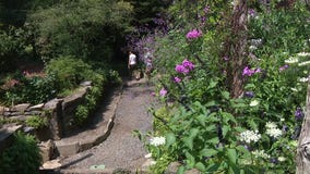 The Gardens at Mill Fleurs