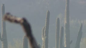 Simmons Fire burns two structures in Riverside