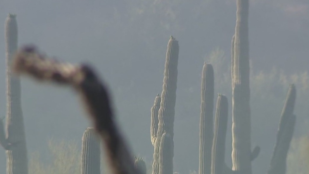 Simmons Fire burns two structures in Riverside