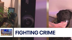 Mando, an electronic detection K-9 | Newsmaker