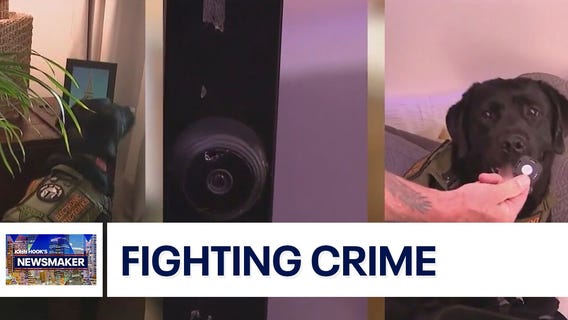 Mando, an electronic detection K-9 | Newsmaker