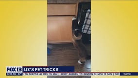 Liz's Pet Tricks for Friday, July 22