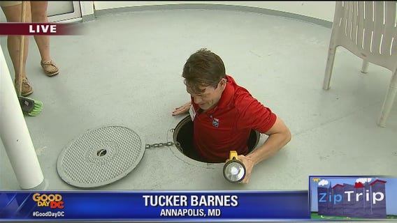 Annapolis | Zip Trip: Tucker Tries It  - Cleaning a Boat