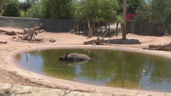 Phoenix Zoo changes to summer hours