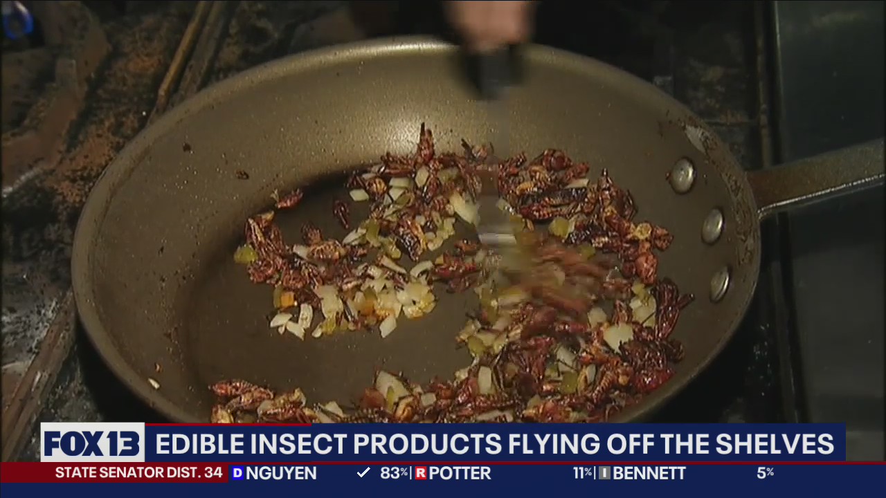 Edible insect products are flying off the shelves