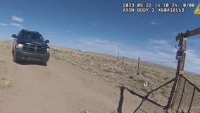 Abandoned dogs shot, killed by Arizona deputy