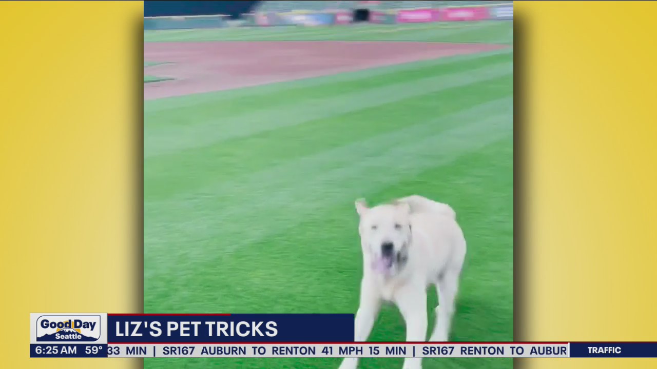 Liz's Pet Tricks for Thursday, August 11
