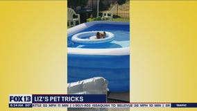 Liz's Pet Tricks for Monday, August 15
