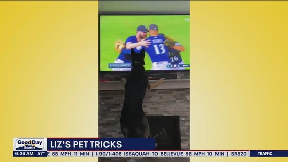 Liz's Pet Tricks for Friday, August 12