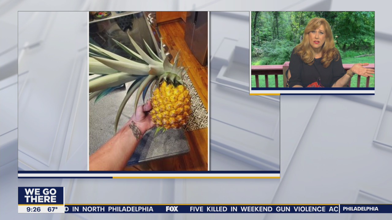 Whatcha Makin? September 20, 2021