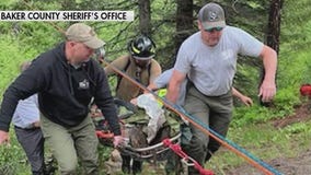 Dog runs miles to get help for owner