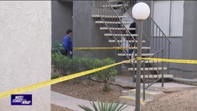 Babysitter suspected of stabbing toddler to death | West Coast Wrap