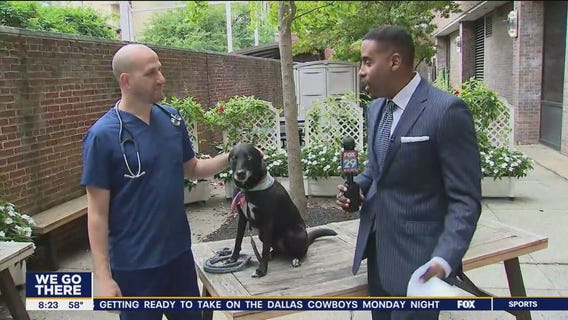 How to prepare to become a pet parent