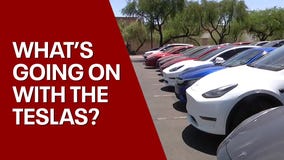 Hundreds of Teslas parked at a Scottsdale lot. Why?