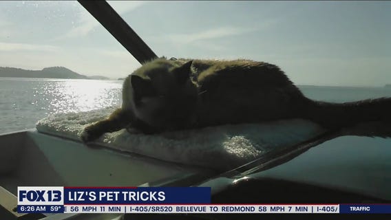 Liz's Pet Tricks for Thursday, September 1