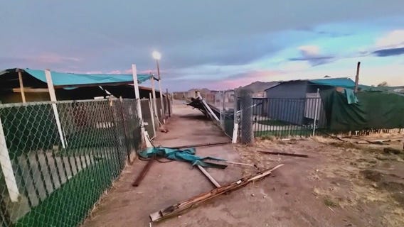 AZ dog rescue needs help rebuilding after monsoon
