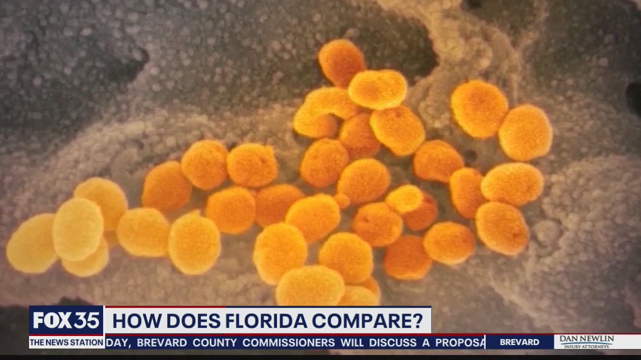 How does Florida compare in coronavirus cases