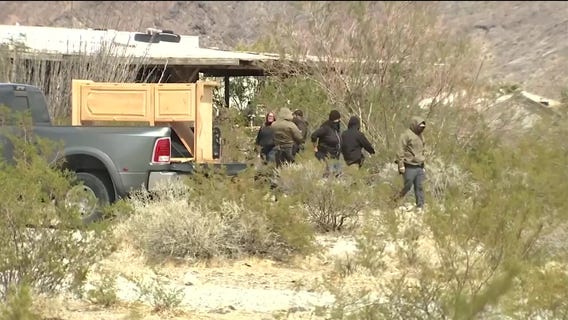 7 tigers seized from Nevada property | West Coast Wrap