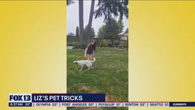 Liz's Pet Tricks for Friday, September 9