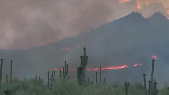 Volunteers assist those impacted by Boulder View Fire