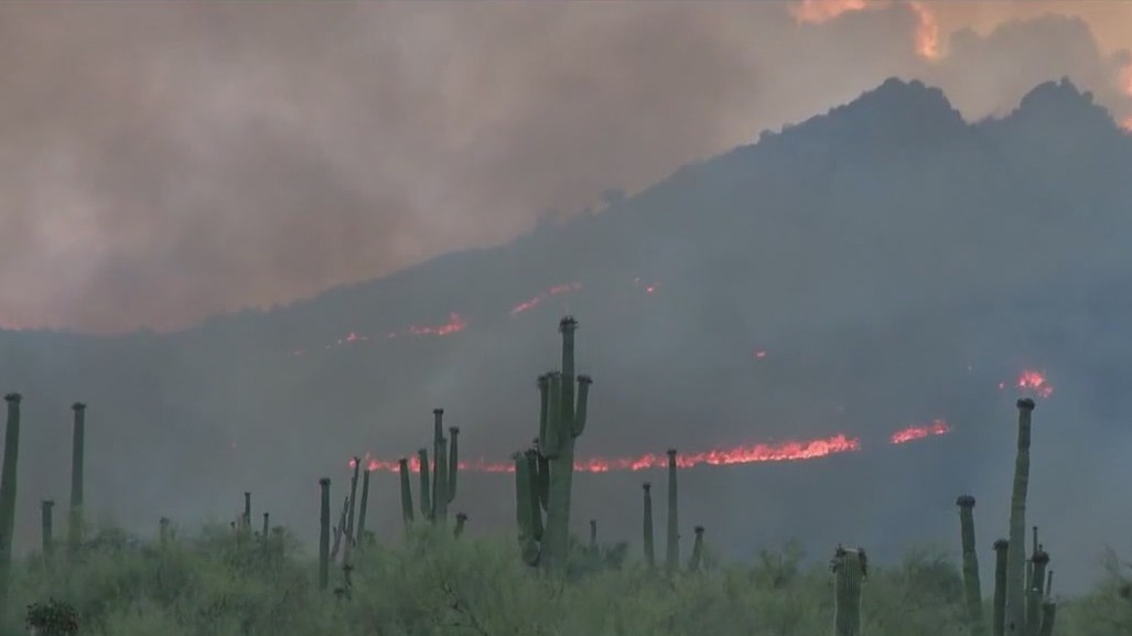 Volunteers assist those impacted by Boulder View Fire