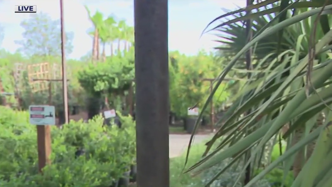 Moon Valley Nursery provides tips for healthy plants