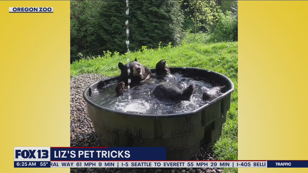 Liz's Pet Tricks for Friday, September 16