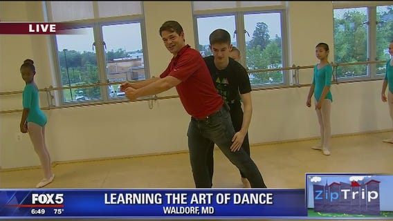 Waldorf | Zip Trip: The Studio Cooperative