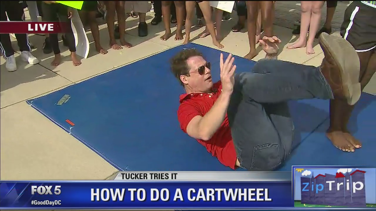 Waldorf | Zip Trip: Tucker Tries It