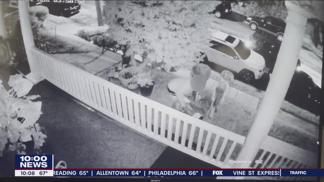 Halloween decoration thieves steal the fun of the holiday right off Delaware Valley porches