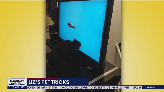 Liz's Pet Tricks for Monday, October 3